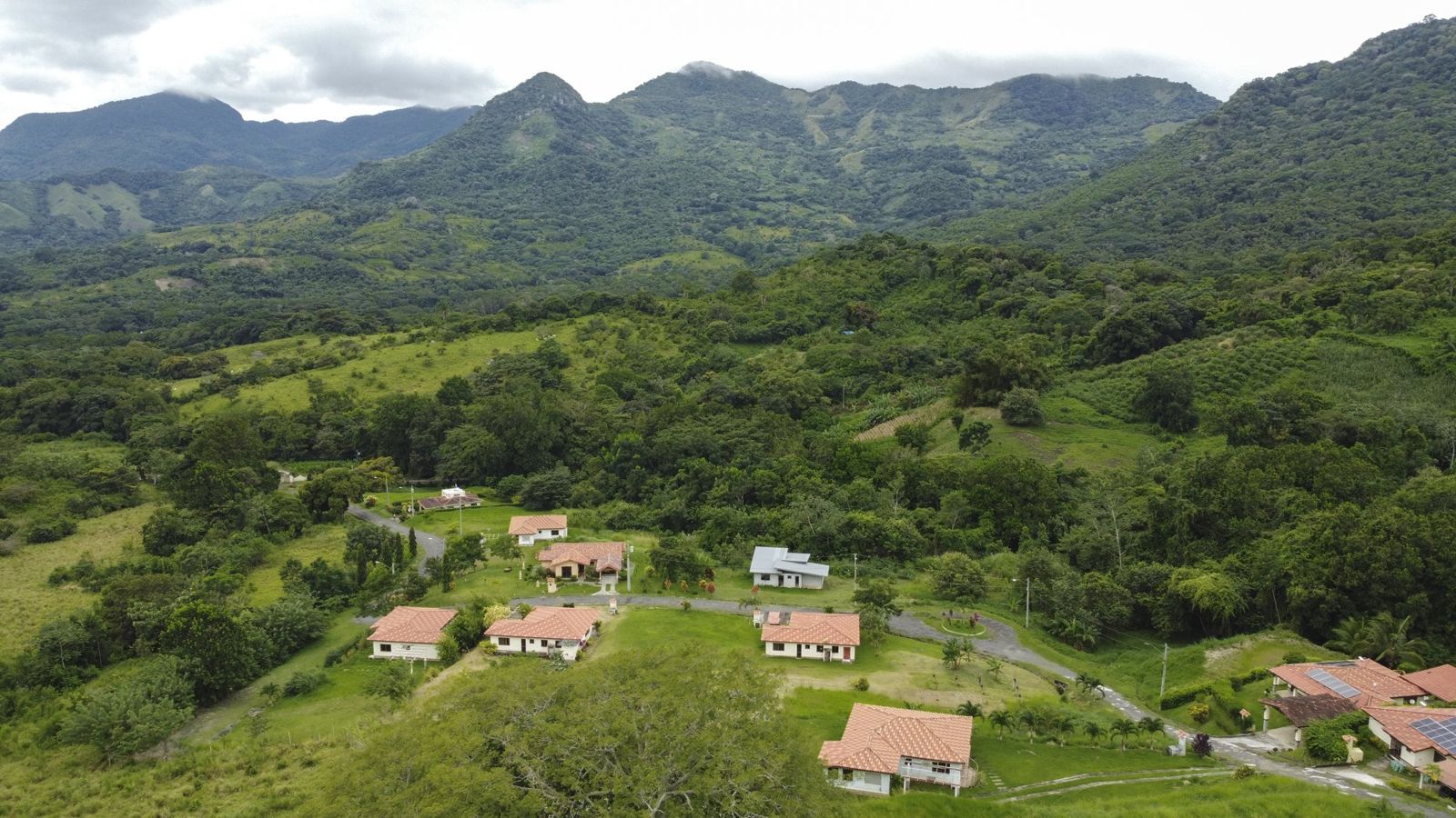Rainforest hills of Altos de Campana